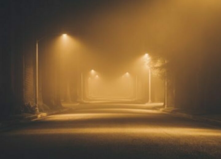 Capitol weekly CA 100