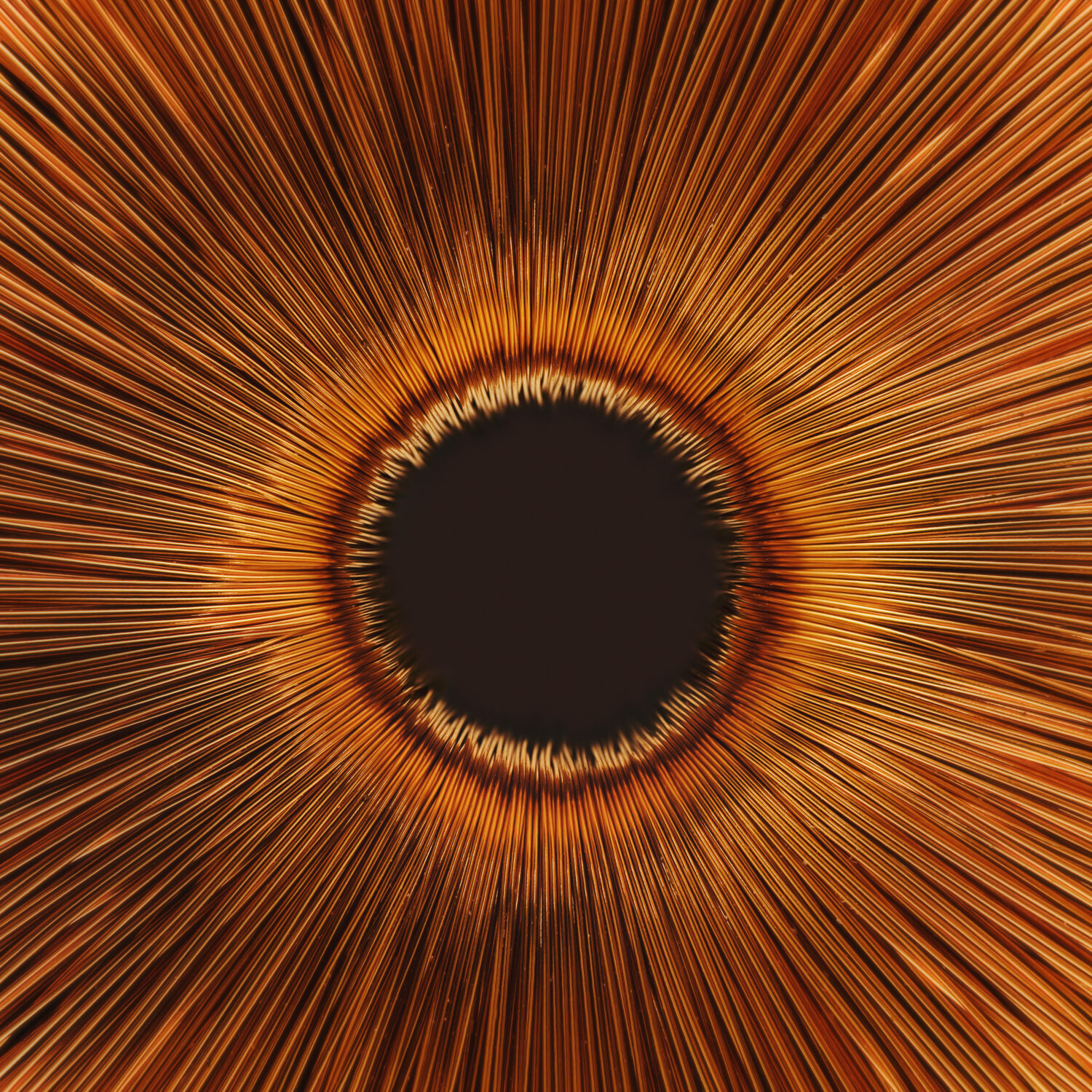 Dissolve D9 8 133 master