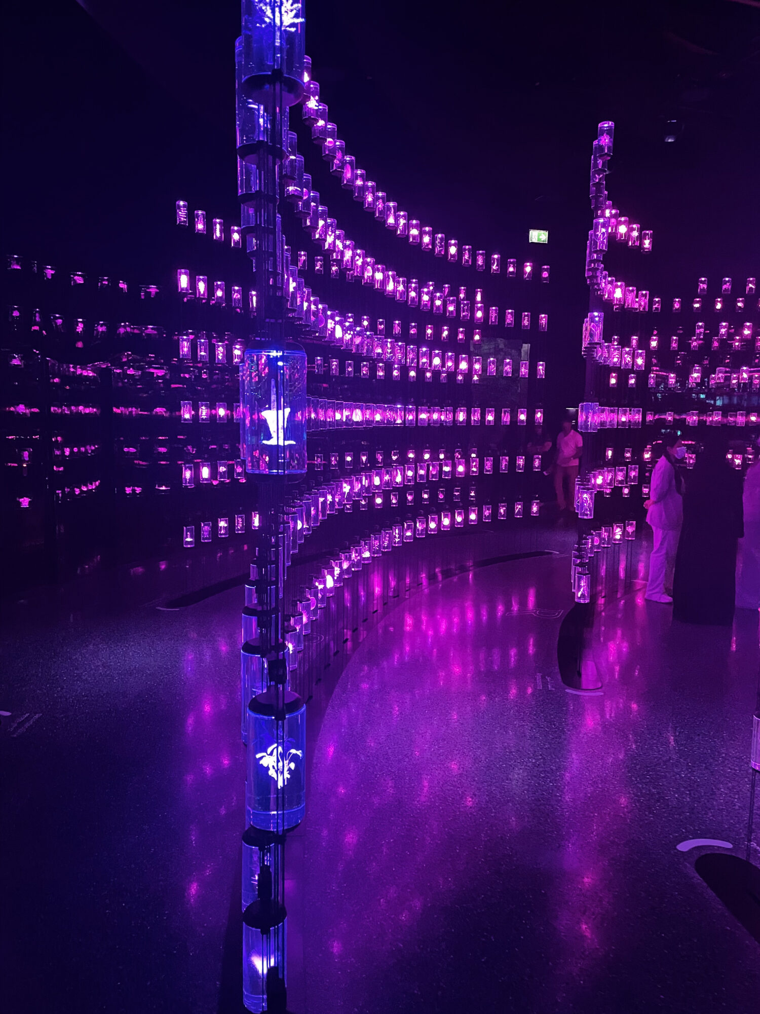 The Heal Institute’s archive of organisms.