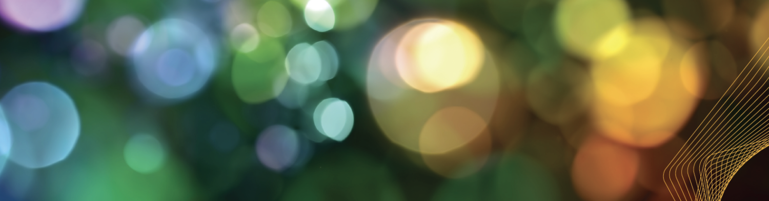 Brava project page banner