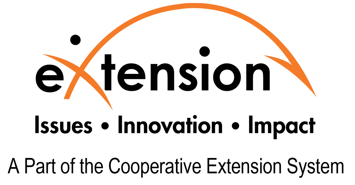 E Xtension foundation black