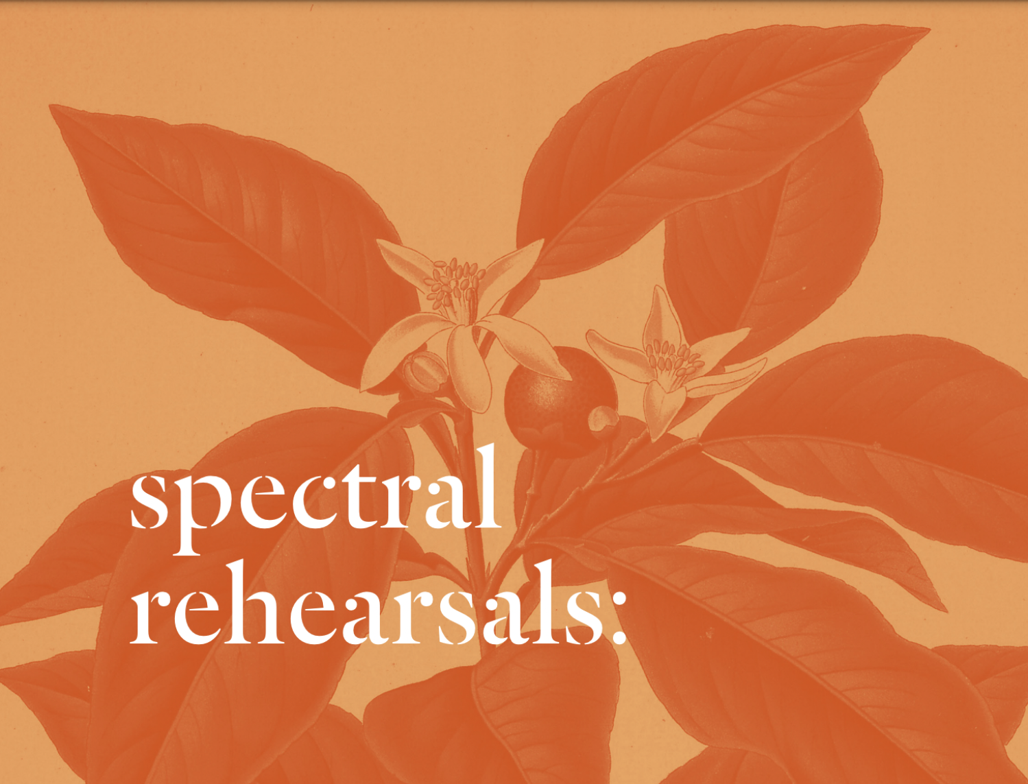 Screen Shot 2023 07 13 at 12 18 33 PM