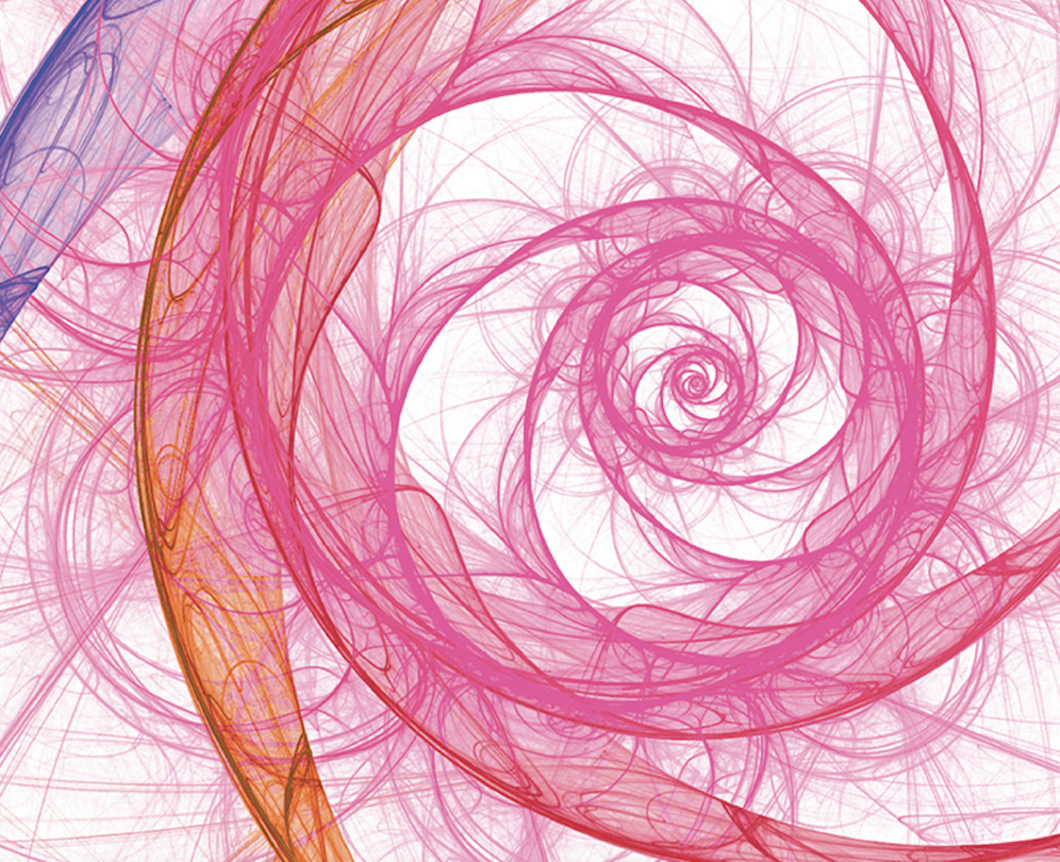 Screenshot 2025 08 27 at 2 21 48 PM